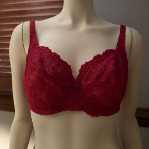 Chic Scarlet Lace Bra